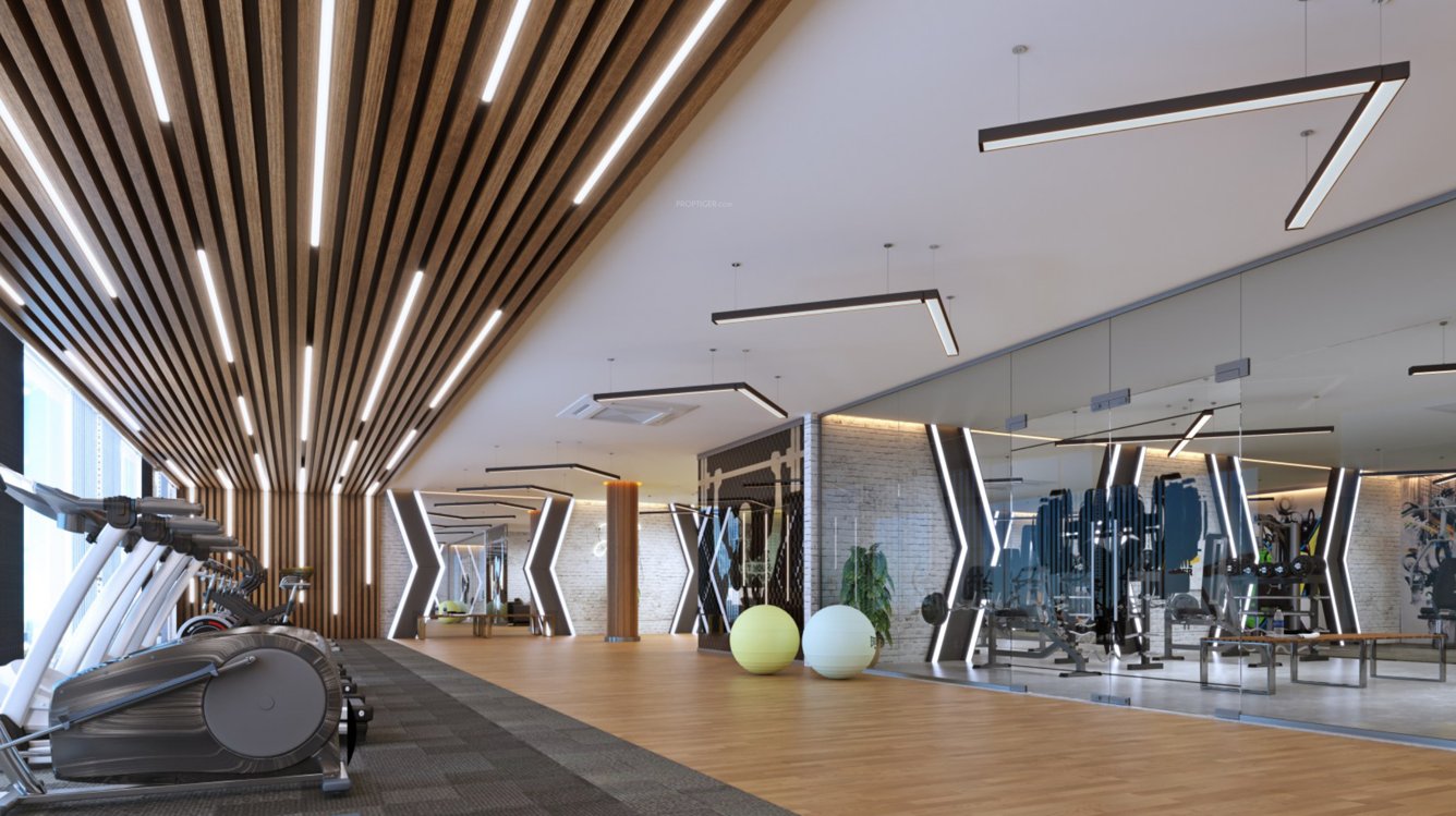  som boulevard Gymnasium