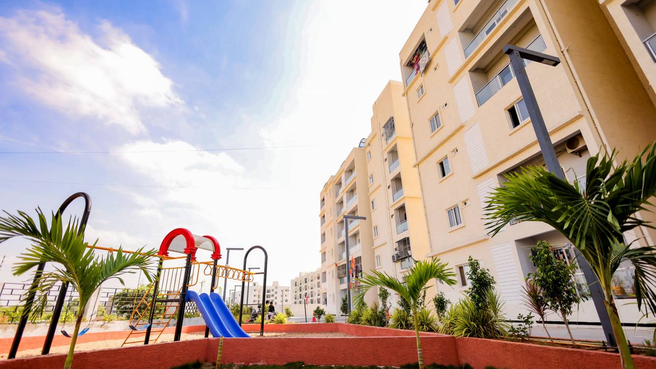  cozy essence elite Others