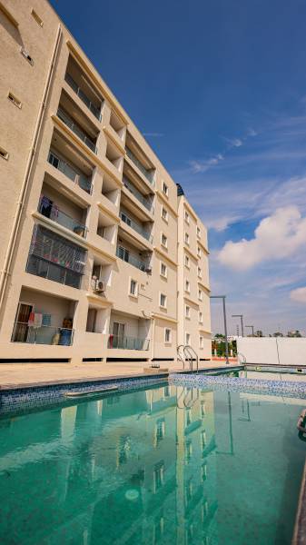  cozy-essence-elite Others