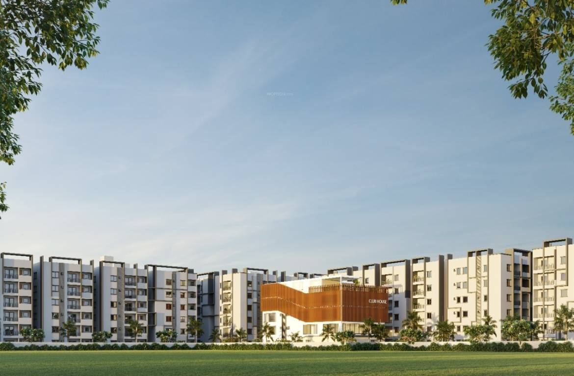  myra project Elevation