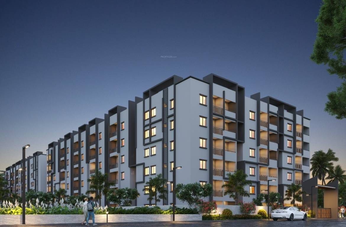  myra project Elevation