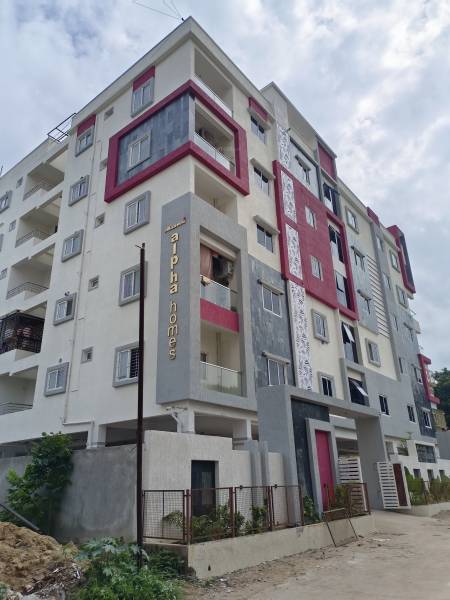  alpha-homes Elevation