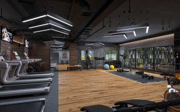  forest-edge Gymnasium