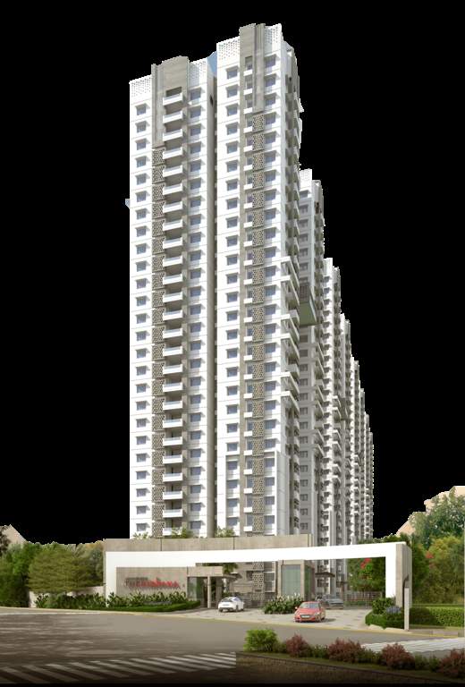  the nirvana Elevation