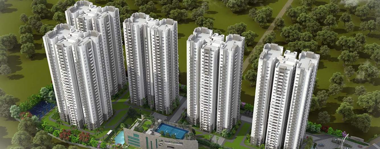  the nirvana Elevation