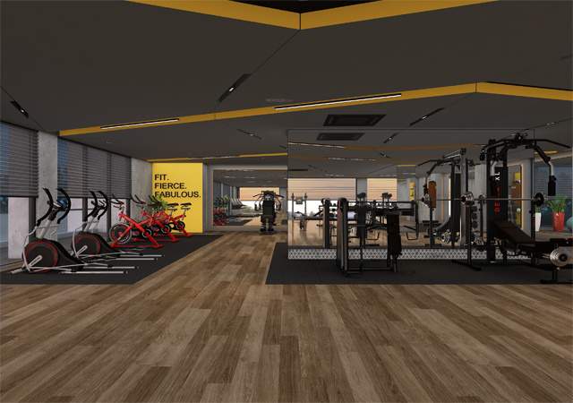  the nirvana Gymnasium