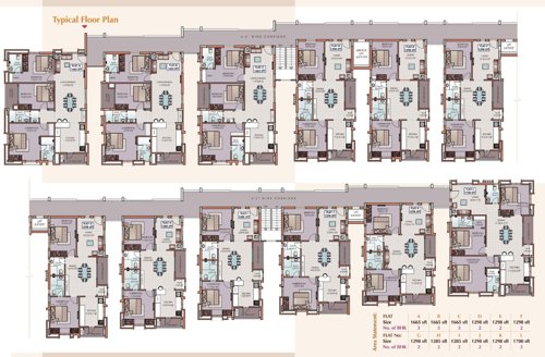  golden-nest Golden Nest Cluster Plan