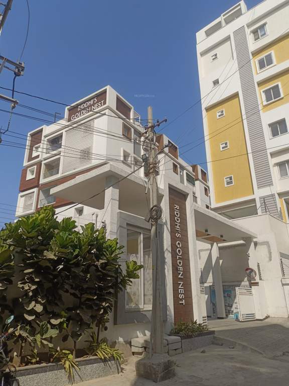  golden nest Elevation