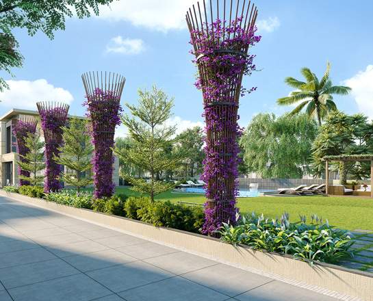  villa 126 Landscape Garden and Tree Planting