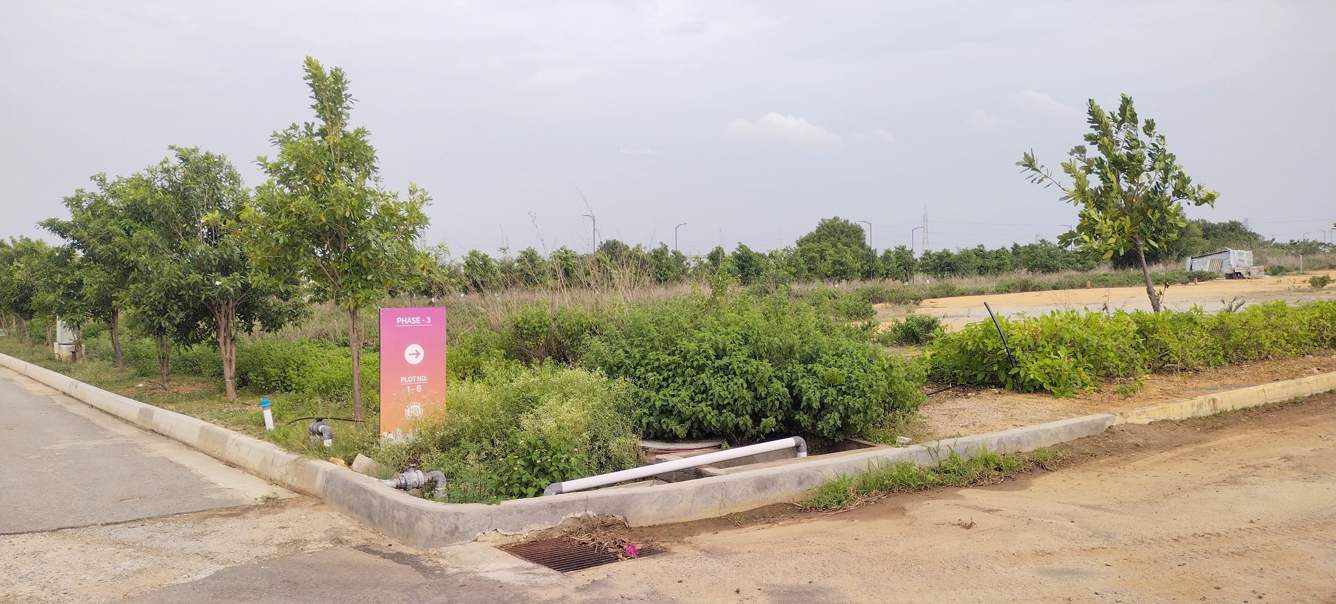  giga citi phase 3 Plot