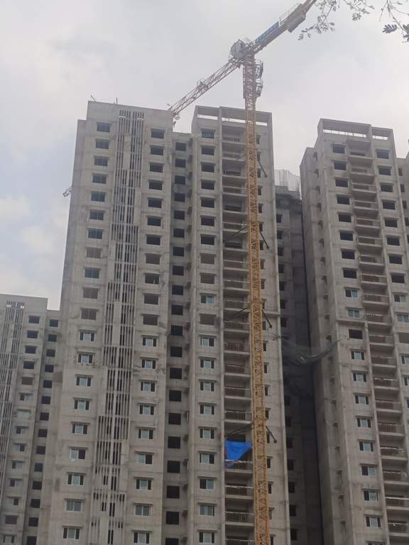  zenon Construction Status May 24