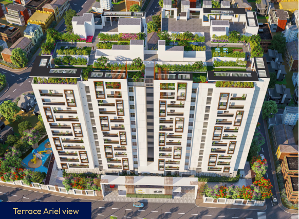  lvrs-tiara Elevation