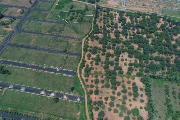  luckie-township-phase-ii Plot