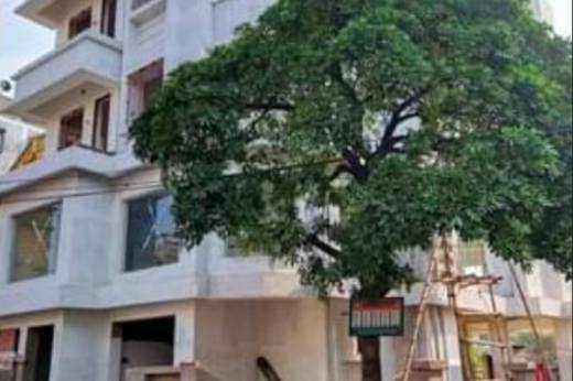 new-project Elevation Elevation