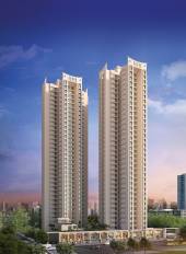 Elevation unicorn-phase-1 Elevation