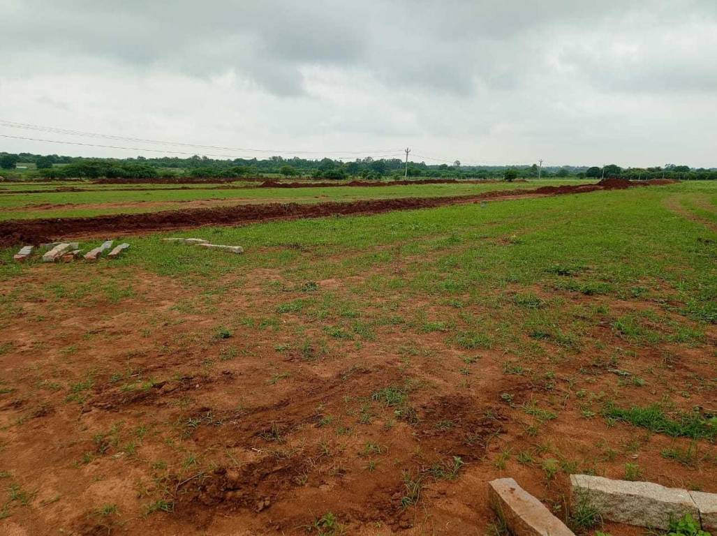  true gold 2 phase 8 Plot