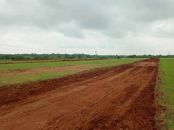  true-gold-2-phase-8 Plot