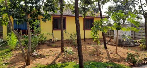  mahathae-brindavan Landscape Garden and Tree Planting