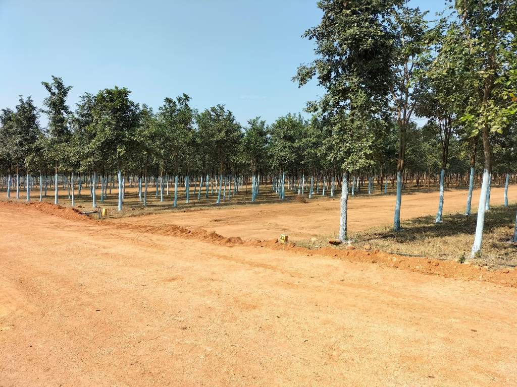  mahathae brindavan Plot