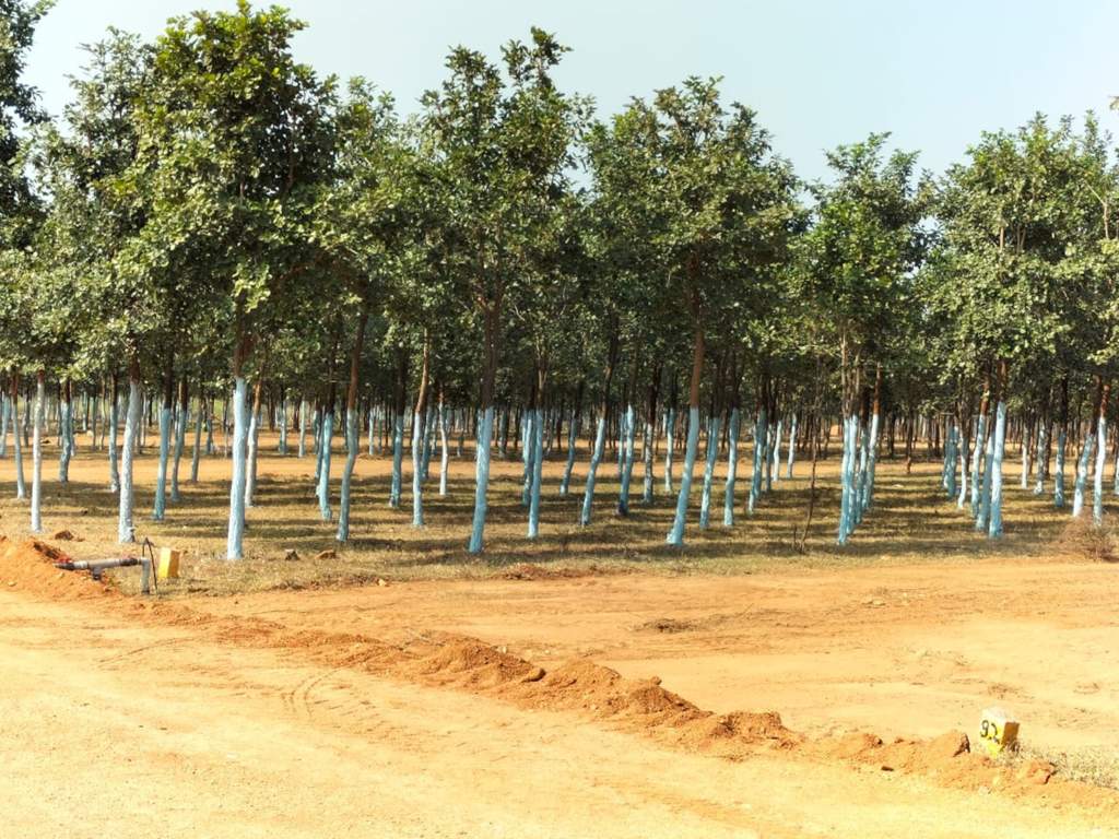  mahathae brindavan Plot
