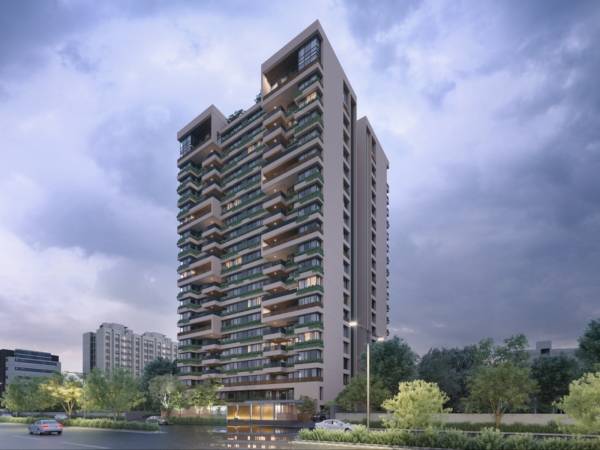 Elevation the-gold Elevation