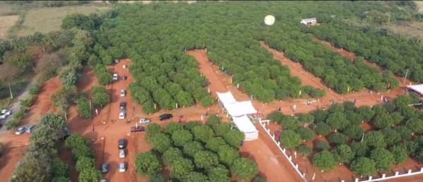 sri-yadadri-gardens Elevation