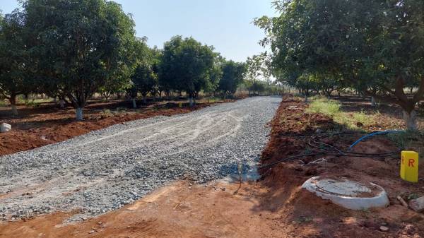  sri-yadadri-gardens Plot