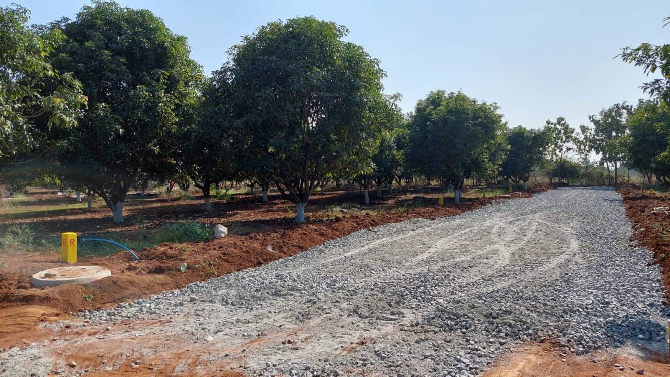  sri yadadri gardens Plot