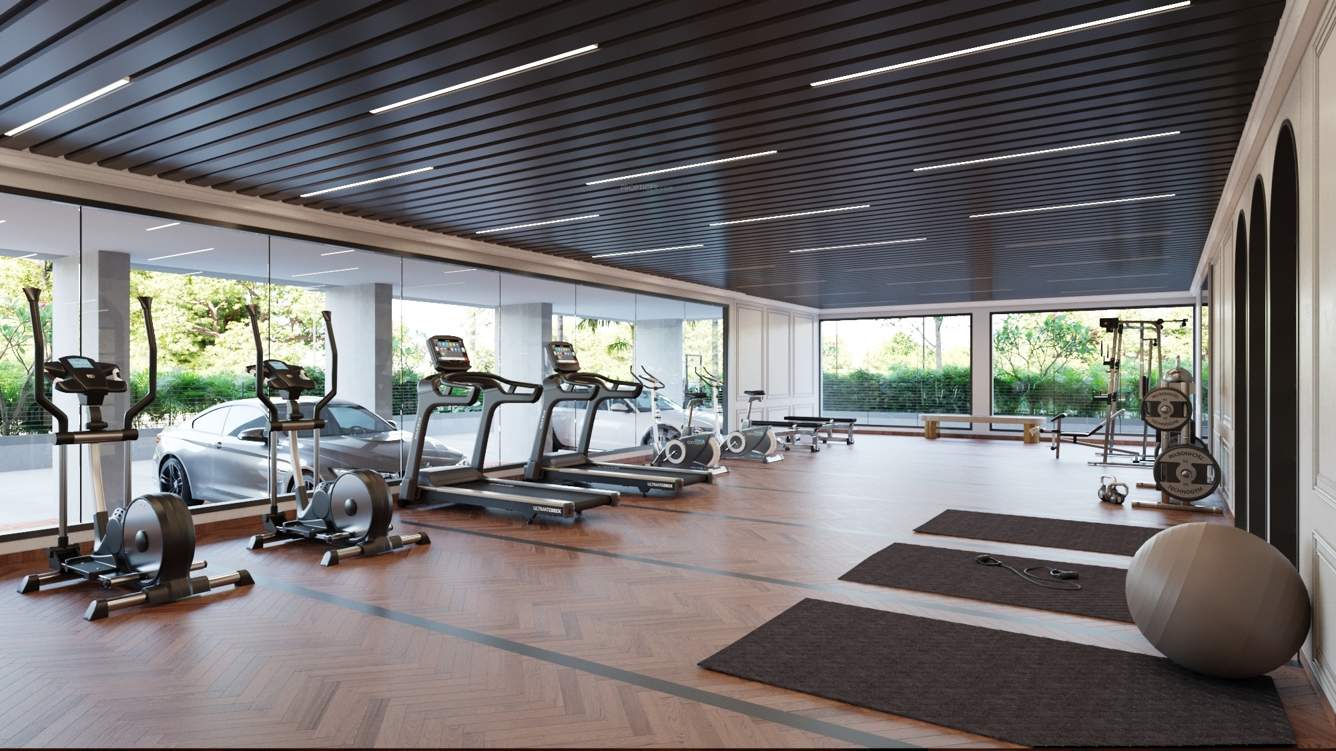  aurum legacy Gymnasium