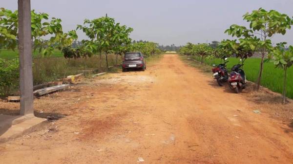  vihar Internal Roads & Footpaths