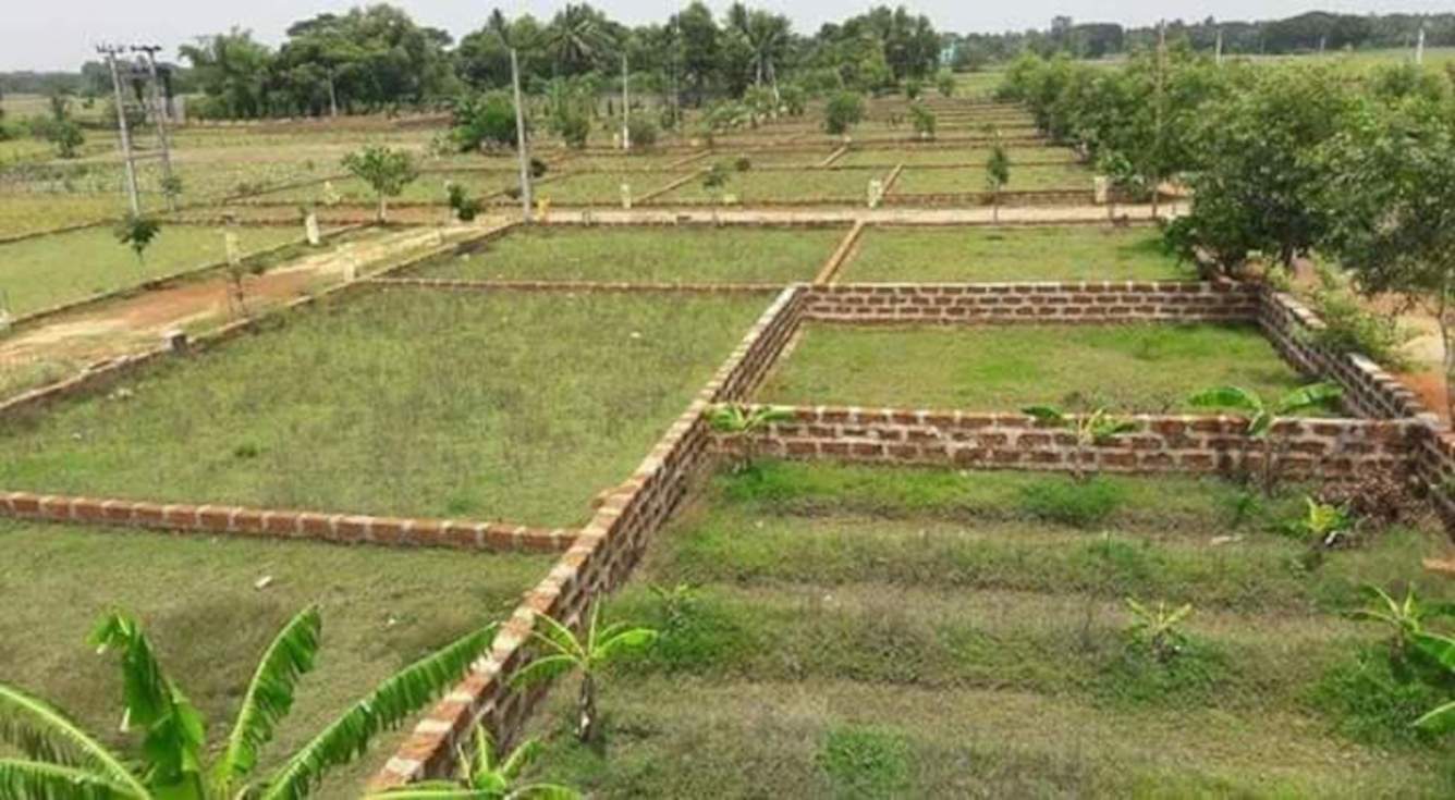  vihar Plot