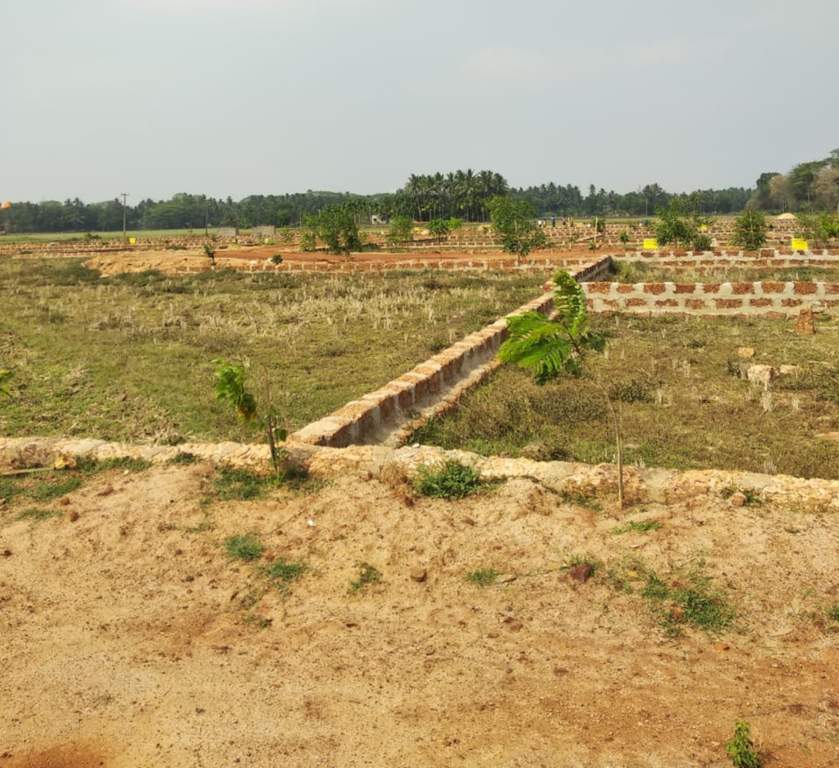  vihar Plot