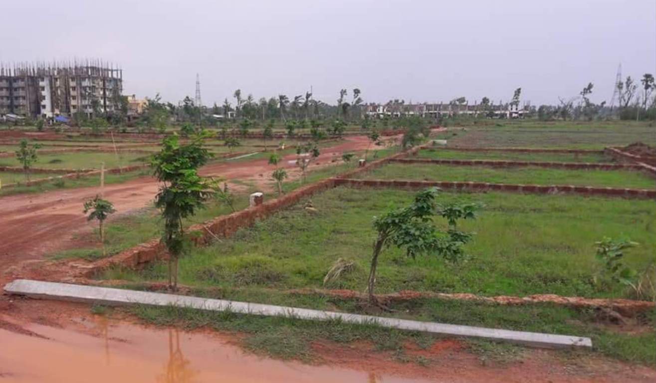  vihar Plot