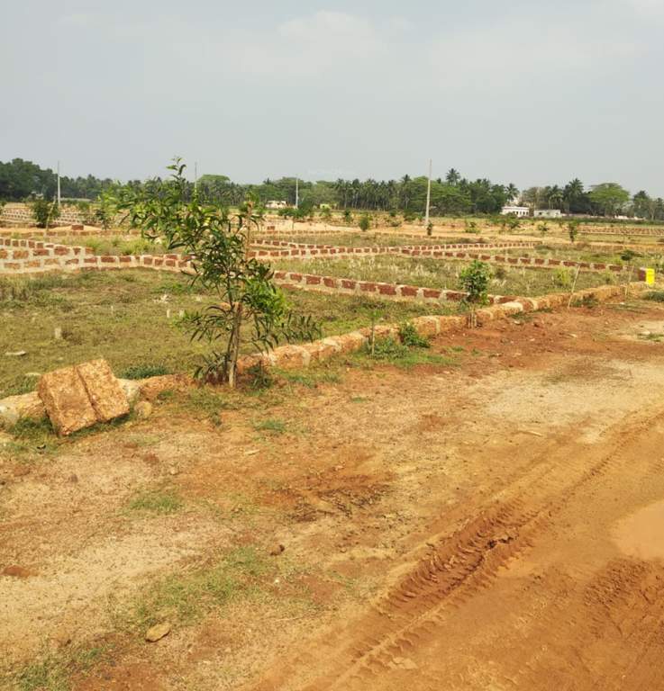  vihar Plot
