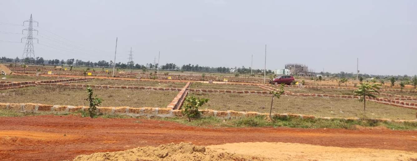  vihar Plot