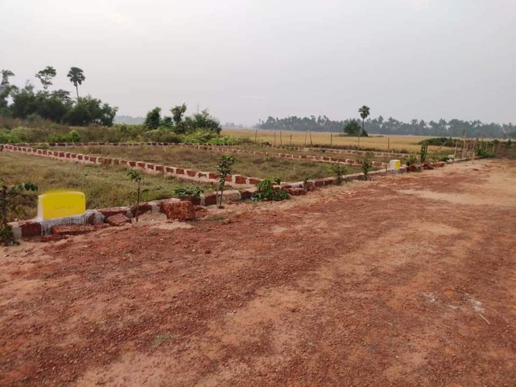  vihar Plot