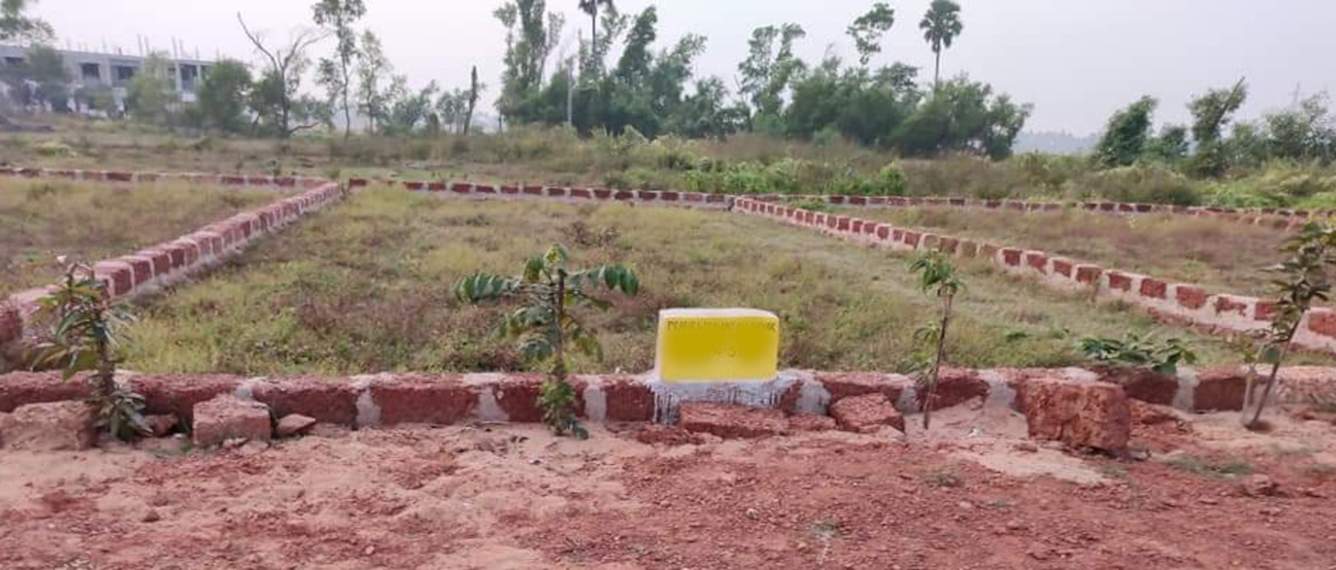  vihar Plot