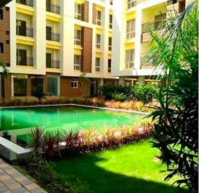  new-project Elevation