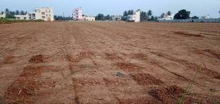 Project Image Project Image