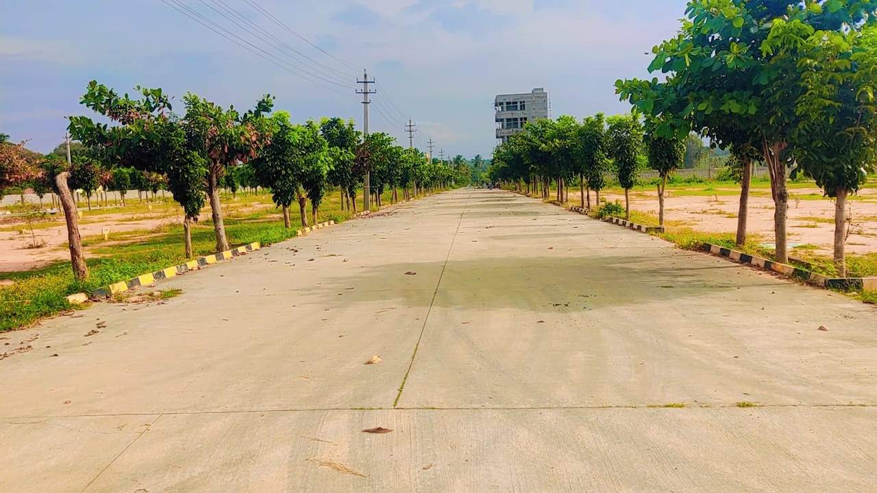  meadows Internal Roads & Footpaths