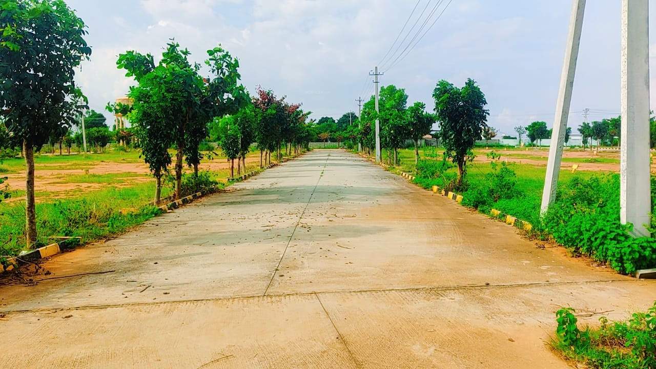  meadows Internal Roads & Footpaths