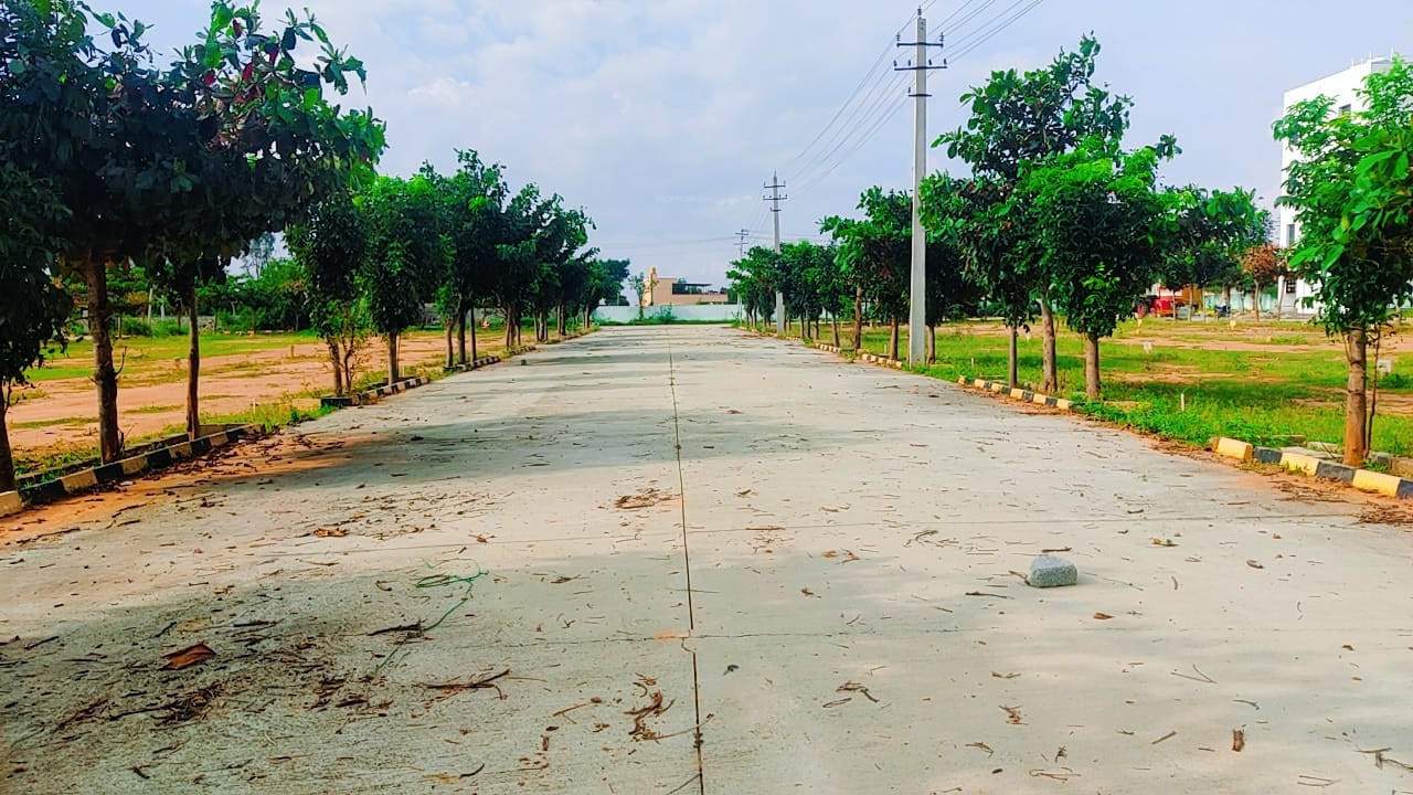  meadows Internal Roads & Footpaths
