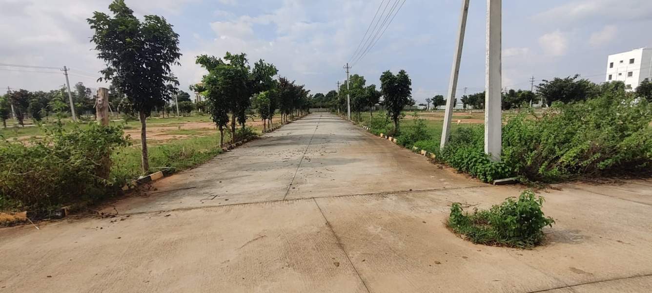  meadows Internal Roads & Footpaths