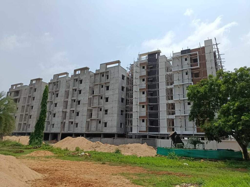  seshadri elite Elevation