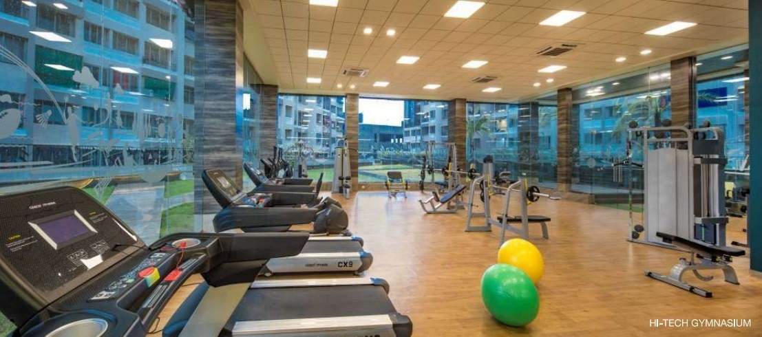  greens phase 2 f Gymnasium