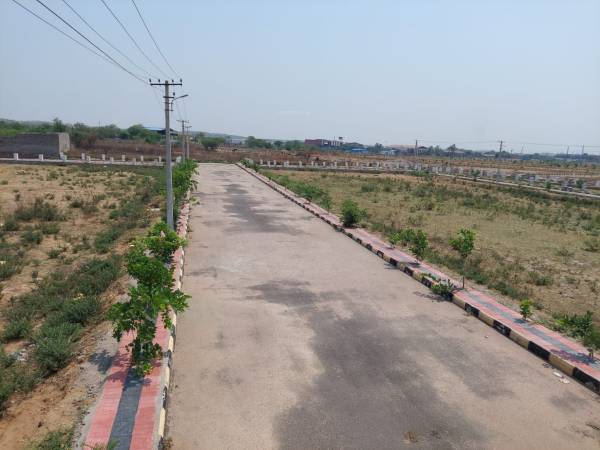  sunrise-city Elevation