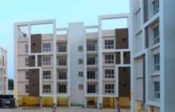  new-project Elevation