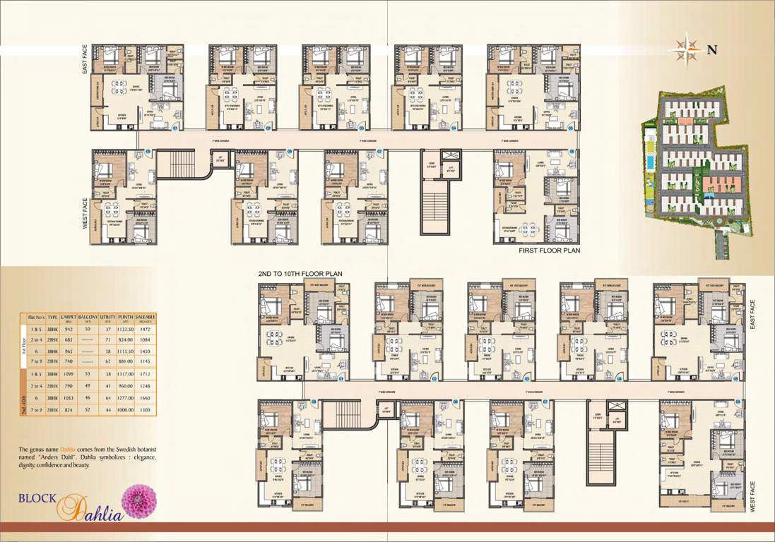  the espino Espino Block D Dahlia Cluster Plan from 1st to 10th Floor