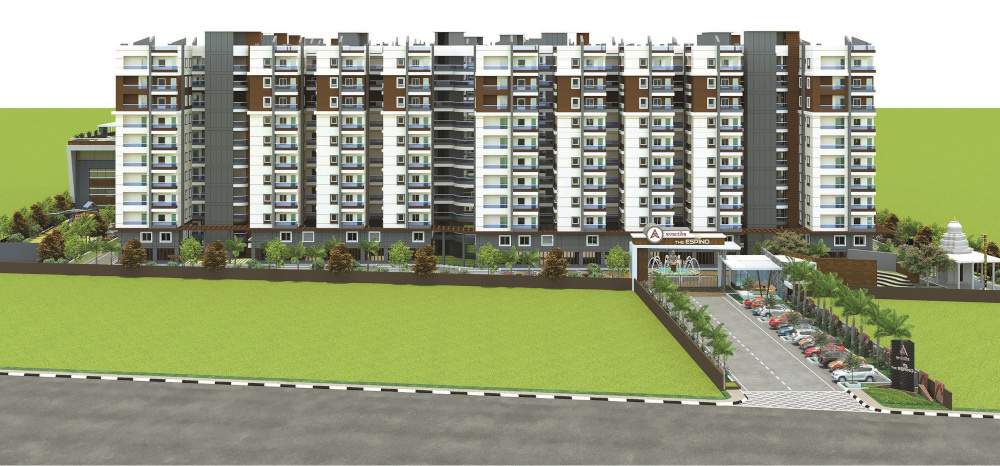  the espino Elevation