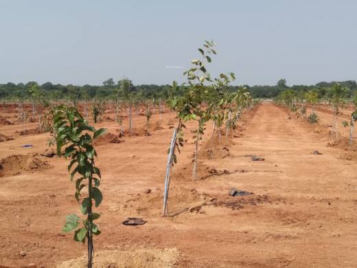 vanadhara Elevation Elevation